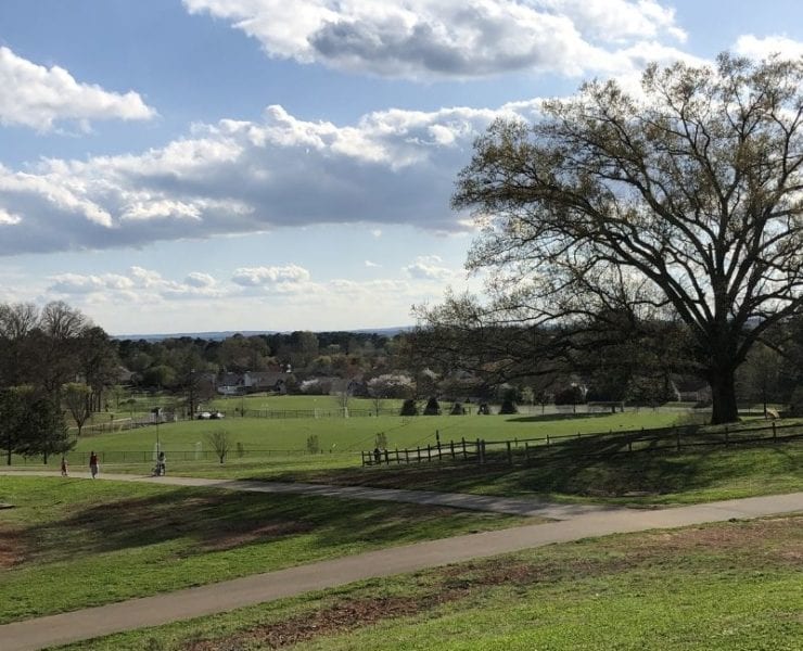 view from the top of Dublin Park in Madison Alabama