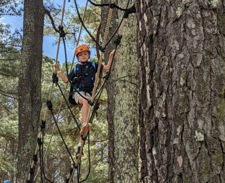 A boy scales a rope bridge during his visit to Raptor Aerial Adventure Park.