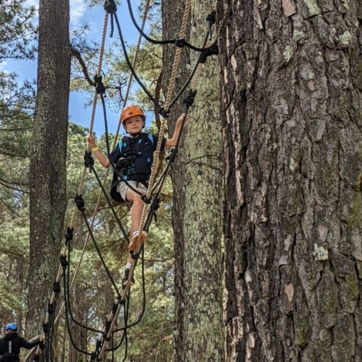 A boy scales a rope bridge during his visit to Raptor Aerial Adventure Park.