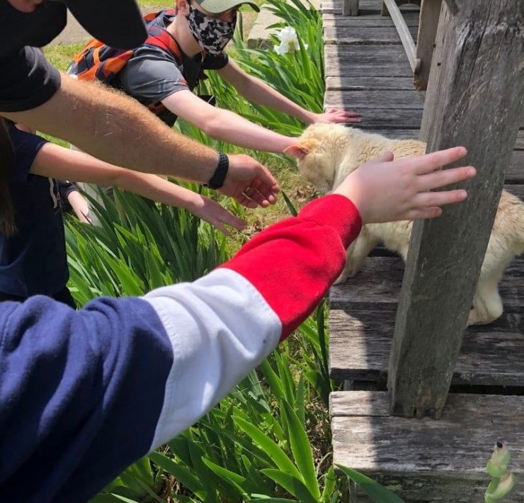 There's plenty of opportunities to make new friends while exploring Burritt on the Mountain.