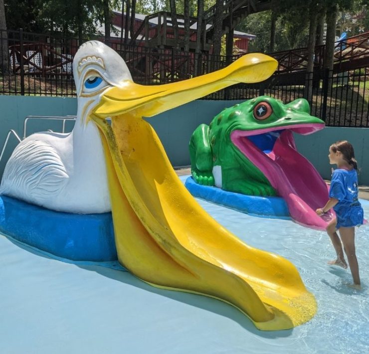 A small slide that looks like a pelican's open mouth is part of the Kids' area at Pirate's Bay waterpark.
