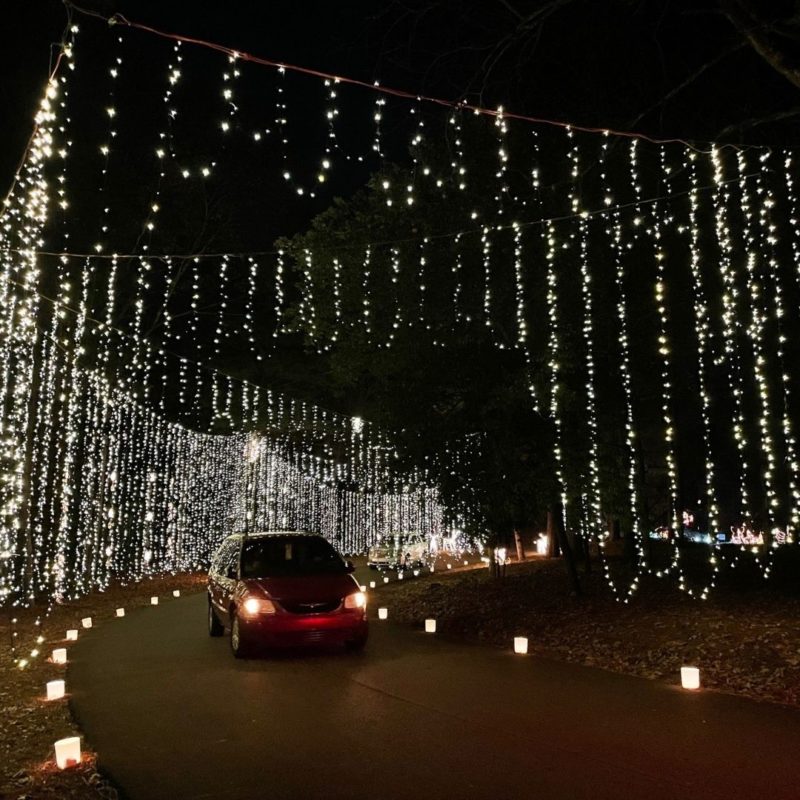 A car drives along a lit path under a string of lights at the Huntsville Botanical Garden.