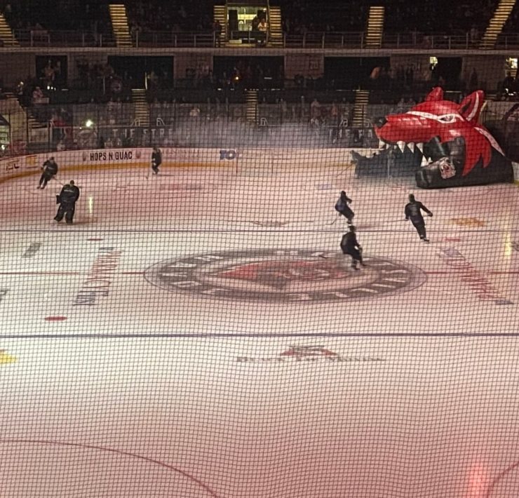 A Newbie's Guide to a Huntsville Havoc Hockey Game
