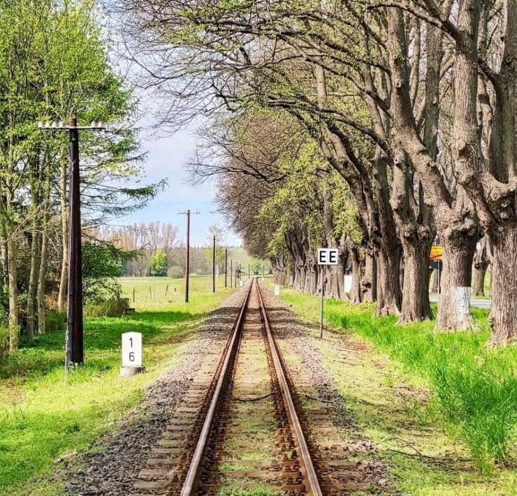 train tracks in the spring