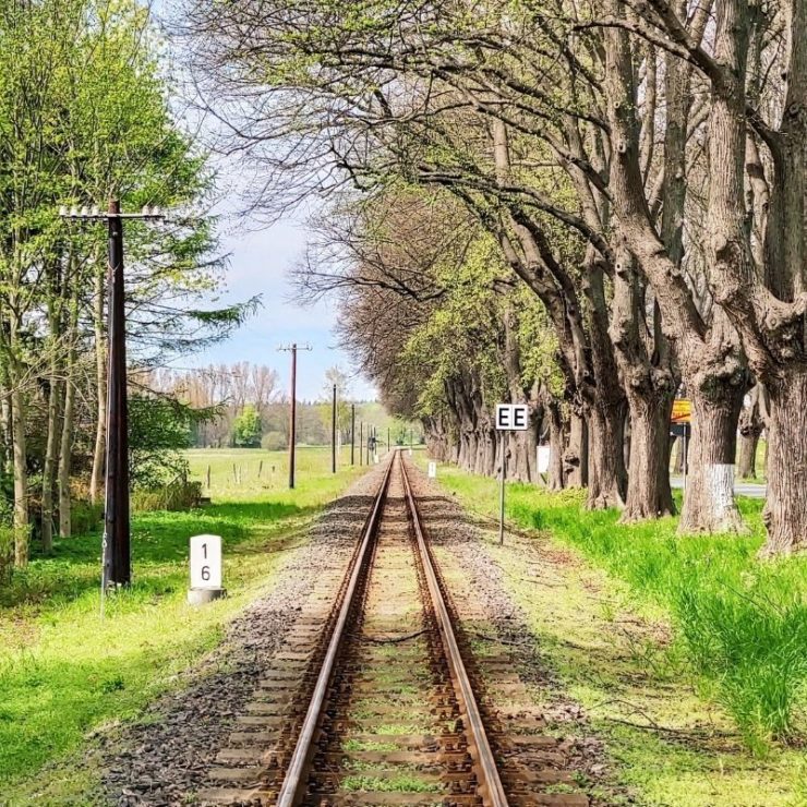 train tracks in the spring