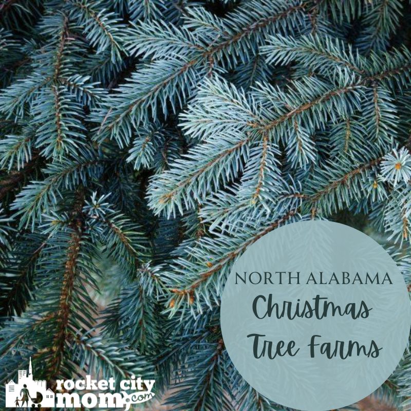 Christmas Tree Farms in North Alabama Rocket City Mom Huntsville