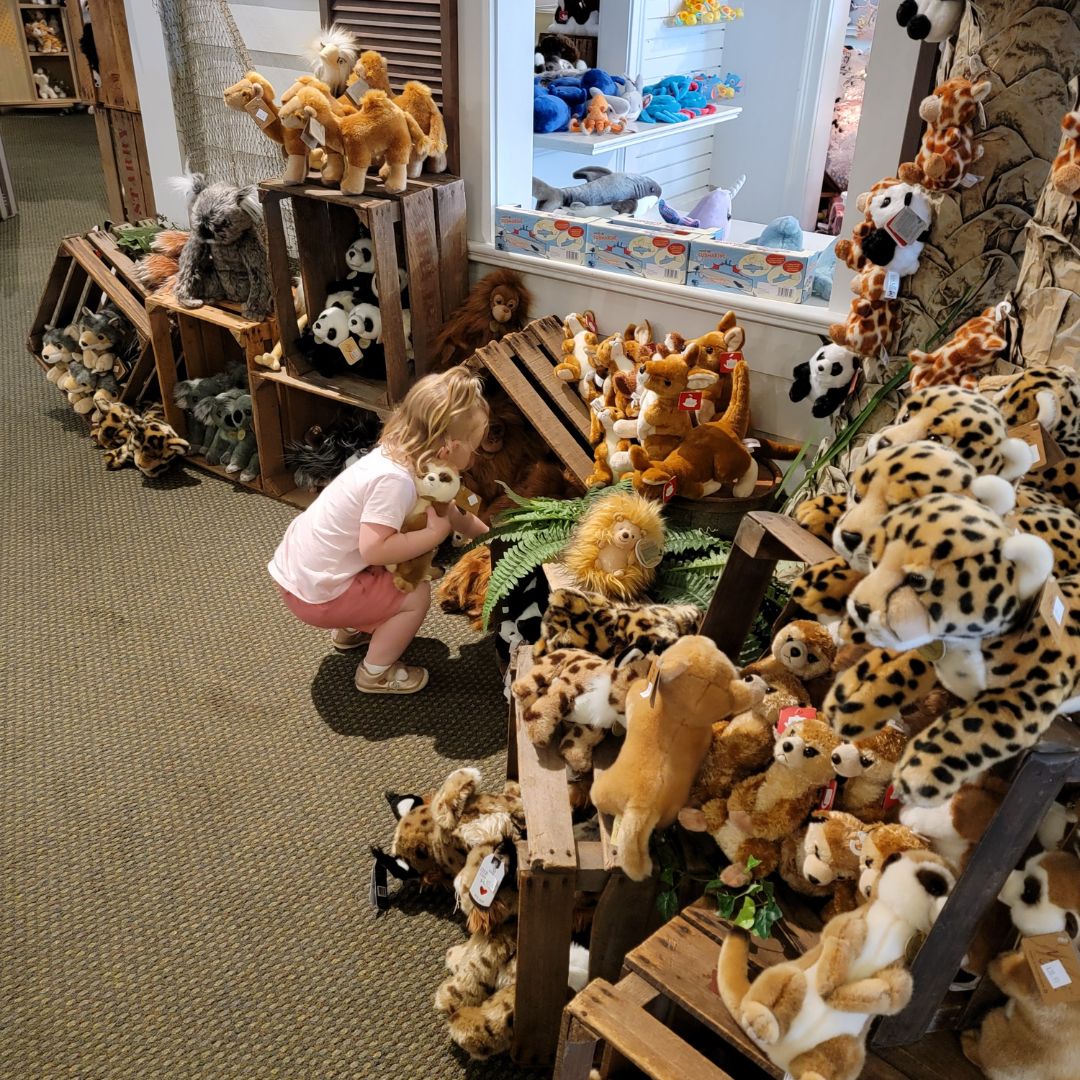 A toddler girl dressed in pink shorts and a white shirt crouches in front of a large group of stuffed animals at the BabyLand General Hospital.