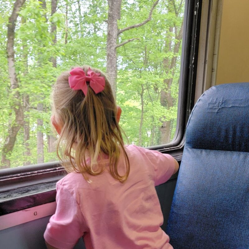 A blonde-haired toddler girl with a pink bow in her hair peers out the window of the train at the Tennessee Valley Railroad Museum.