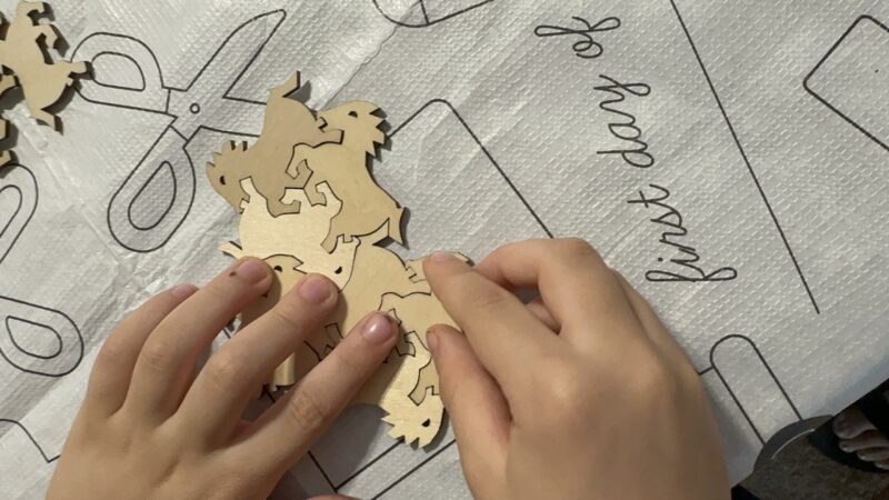 Mel science box art of math